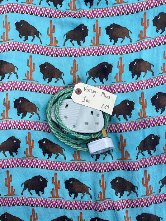 Lola's Leads – Vintage Mint + White 1m | 2 Gang