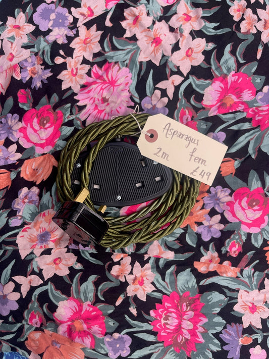 Lola's Leads – Asparagus Fern + Black 2m | 2 Gang